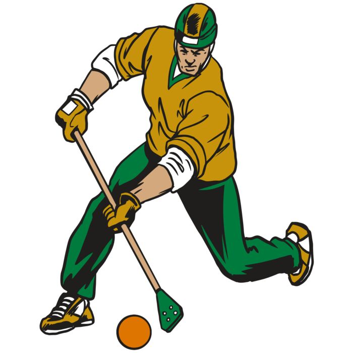 AR20 BROOMBALL 12 RQC Thumbnail