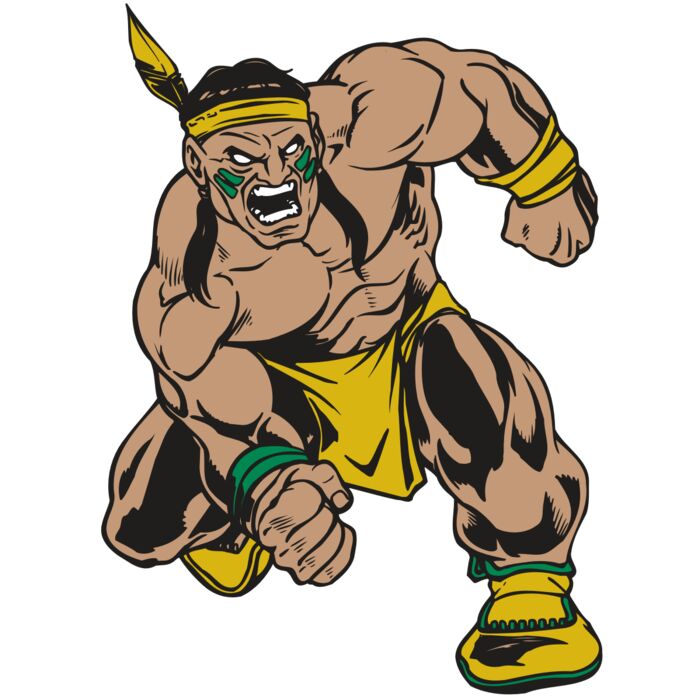 AR BRAVE 50 RC Thumbnail