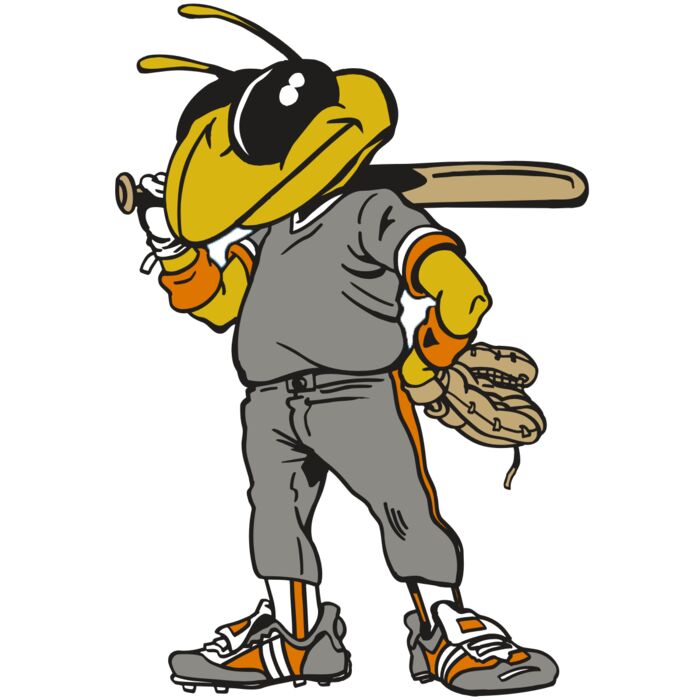 AR5 BEE 17 RQC Thumbnail