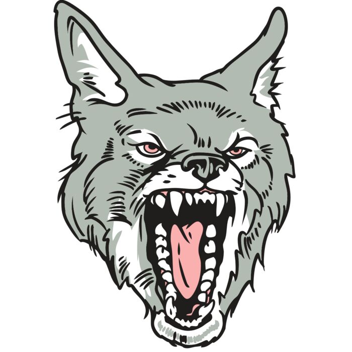 AR32 COYOTE 11 RQC Thumbnail