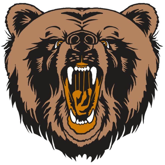 AR31 BEAR 01 RQC Thumbnail