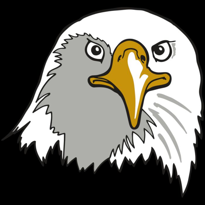 AR EAGLE 39 RC Thumbnail