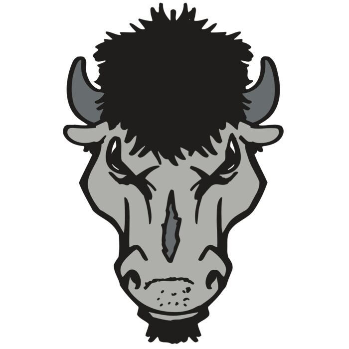 AR BUFFALO 15 RC Thumbnail