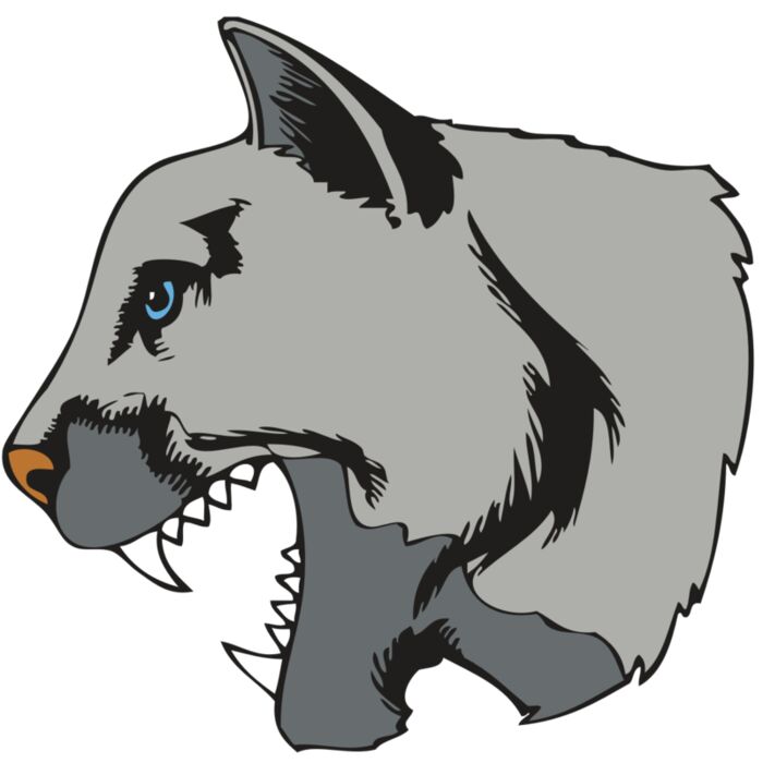 BAW COUG PANTH 15 R Thumbnail