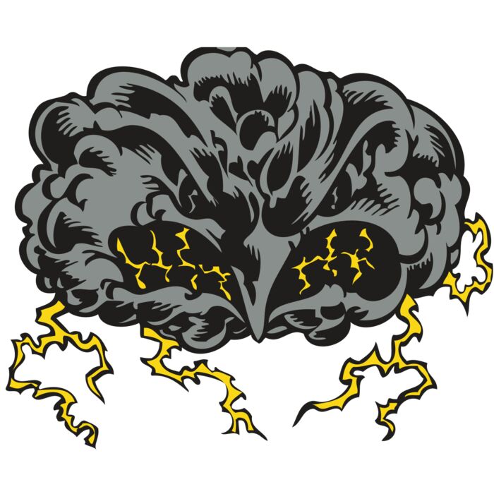 BAW STORM 11 RC Thumbnail