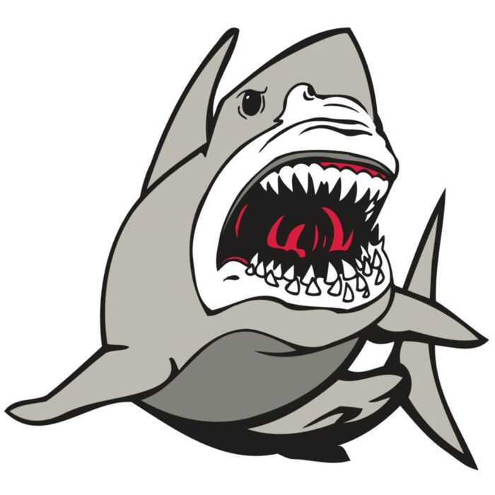 AR5 Shark 07 RQC Thumbnail