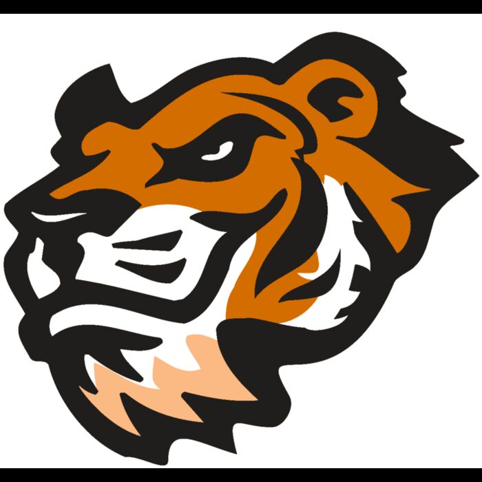 AR TIGER 21 RC Thumbnail