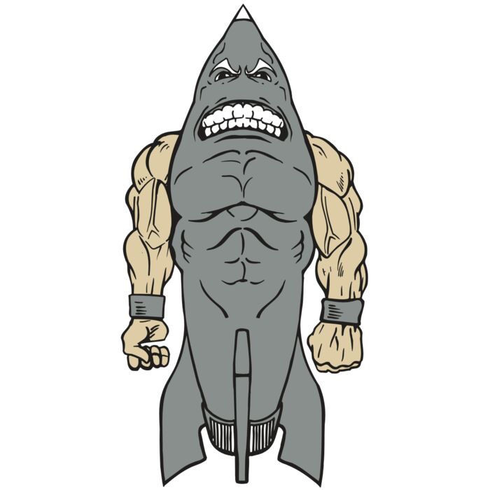 AR ROCKET 23 RC Thumbnail