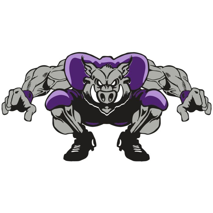 AR RAZORBACK 28 RC Thumbnail