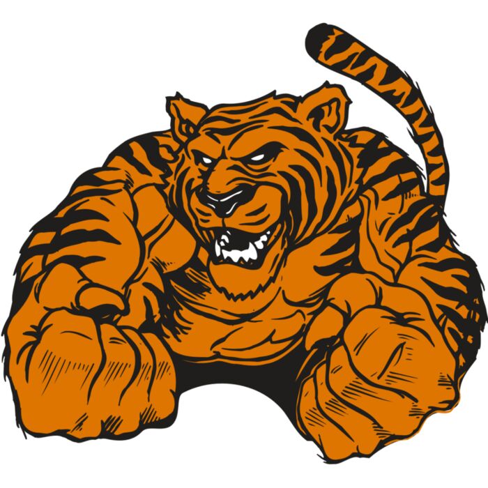 AR TIGER 55 RC Thumbnail