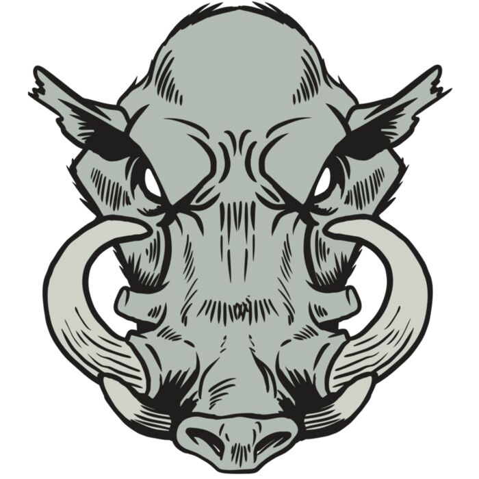 AR20 RAZORBACK 38 RQC Thumbnail