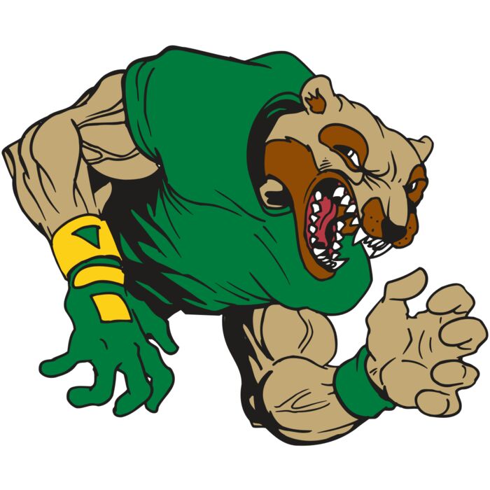 AR5 Wolverine 17 RQC Thumbnail