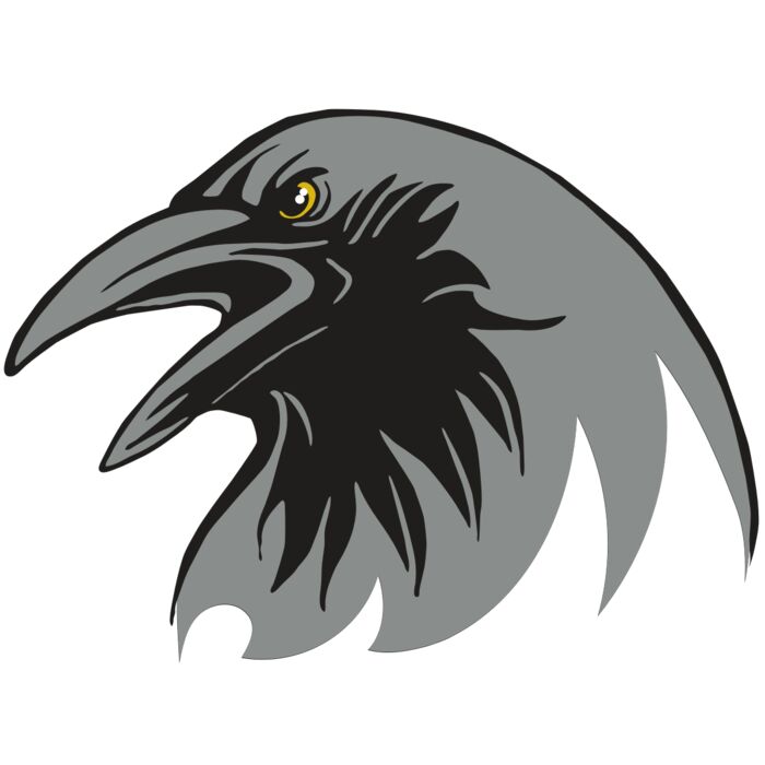 AR31 RAVEN 02 RQC Thumbnail