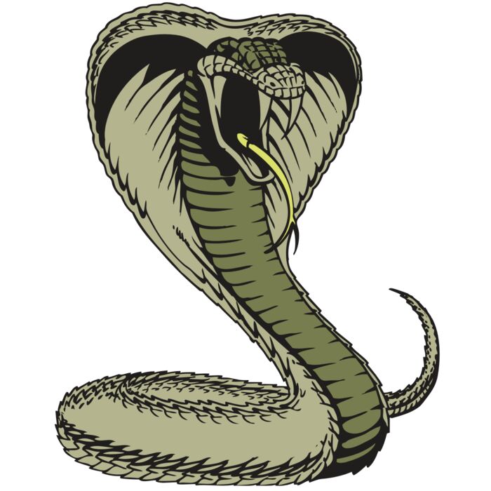 BAW SNAKE 07 RC Thumbnail