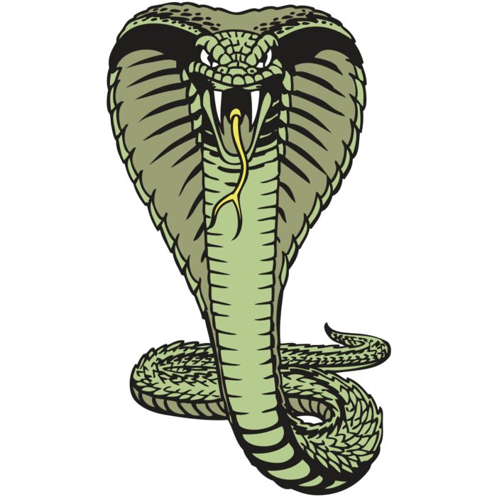 BAW SNAKE 15 RC Thumbnail