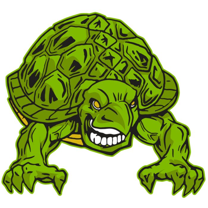 AR31 TURTLE 03 RQC Thumbnail