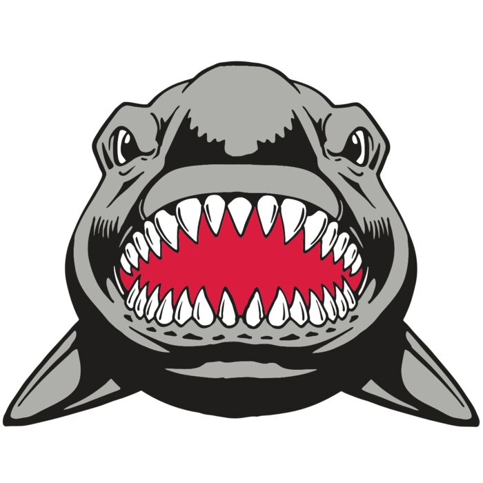 AR  SHARK 25 RC Thumbnail