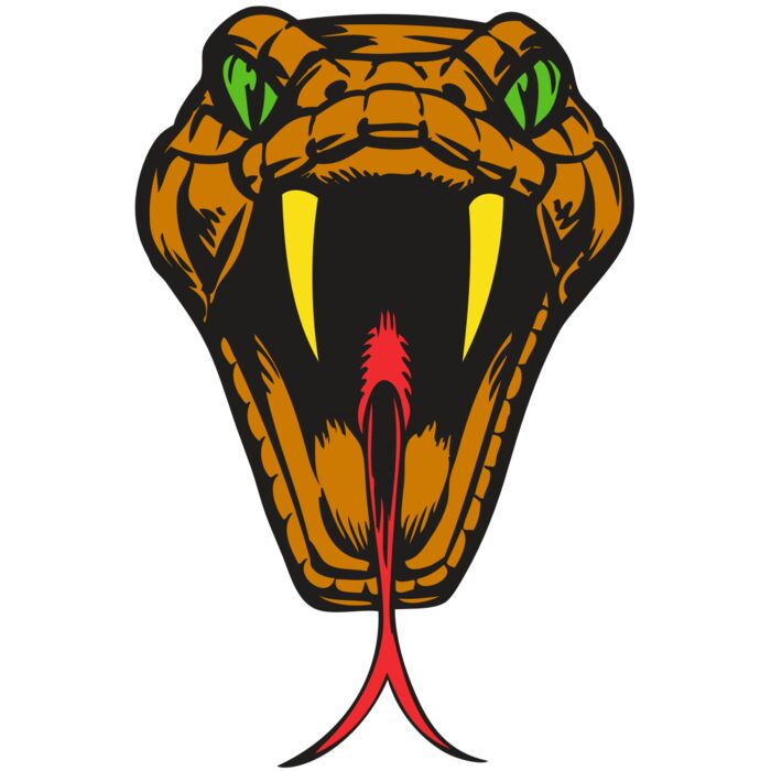 BAW SNAKE 05 RC Thumbnail