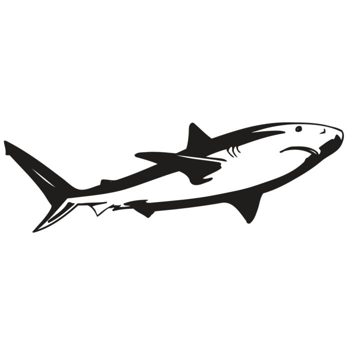 AR5 Shark 15 RQC Thumbnail