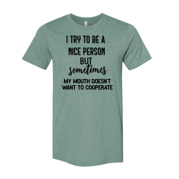 I Try to be a Nice Person - Bella Unisex CVC Jersey Tee Thumbnail