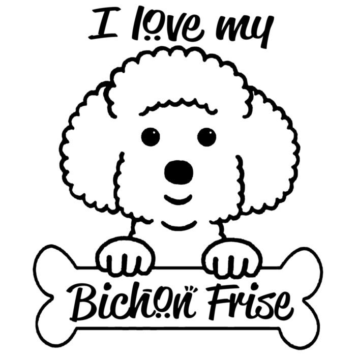 08 bichon frise copy Thumbnail