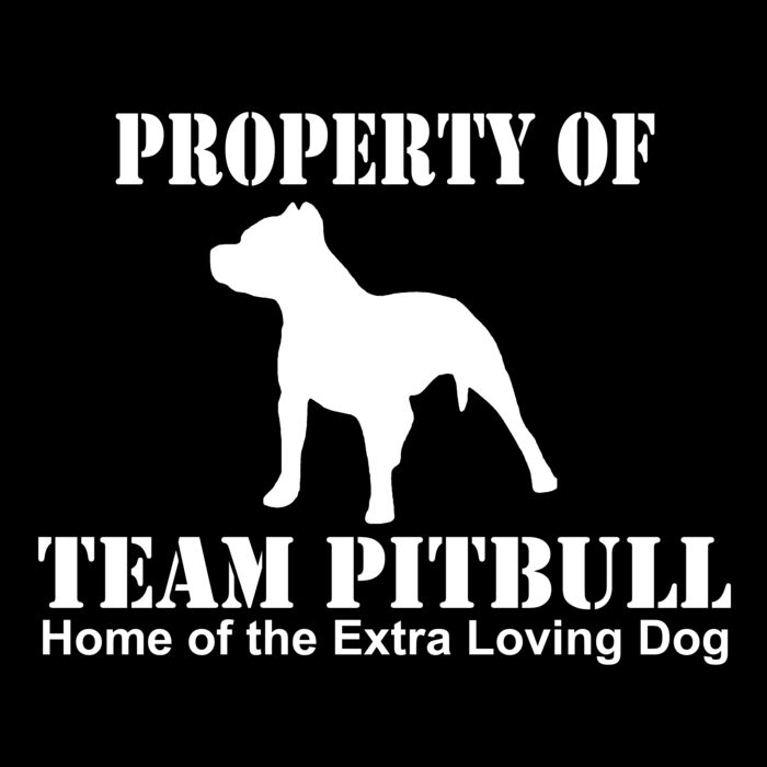 02 team pitbull home of the copy Thumbnail