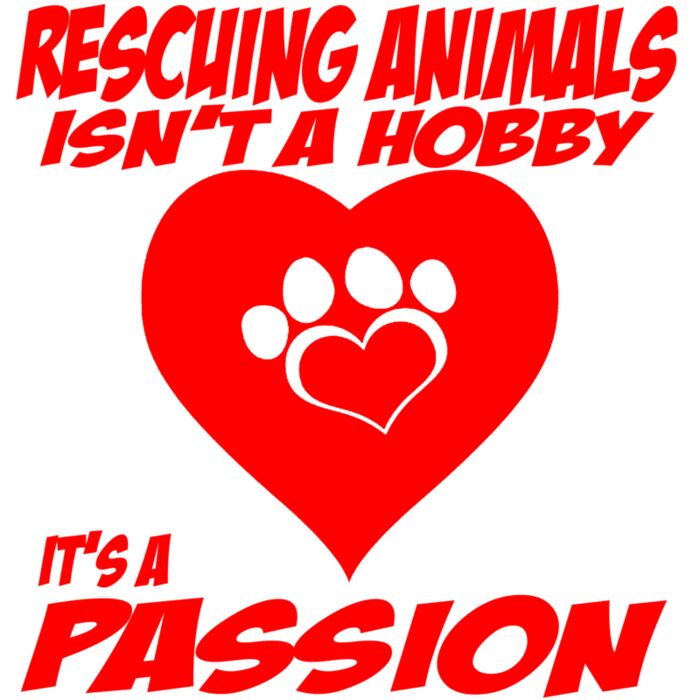 01 rescuing animals copy Thumbnail