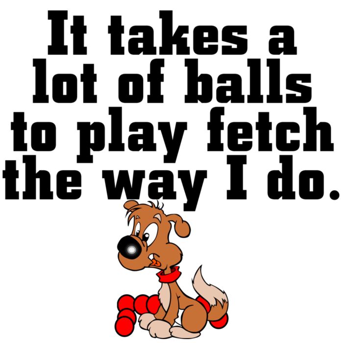 DOG  09 a lot of balls black Thumbnail