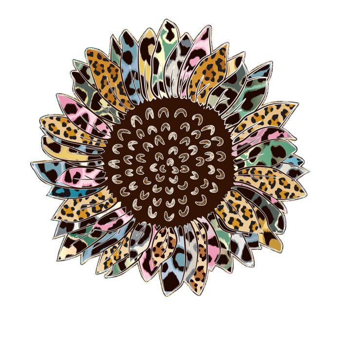 Colored leopard sunflower Thumbnail