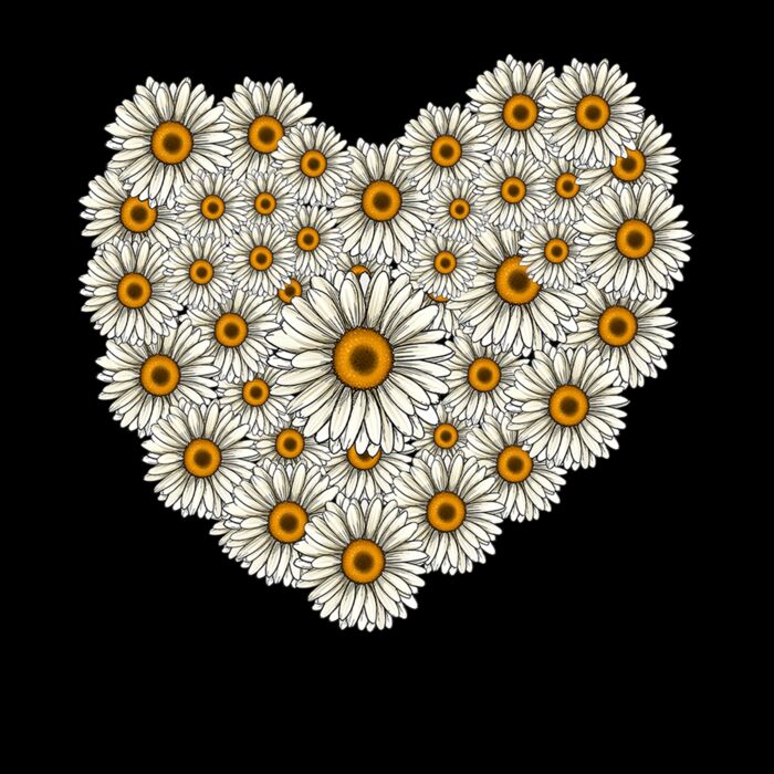 daisy heart Thumbnail