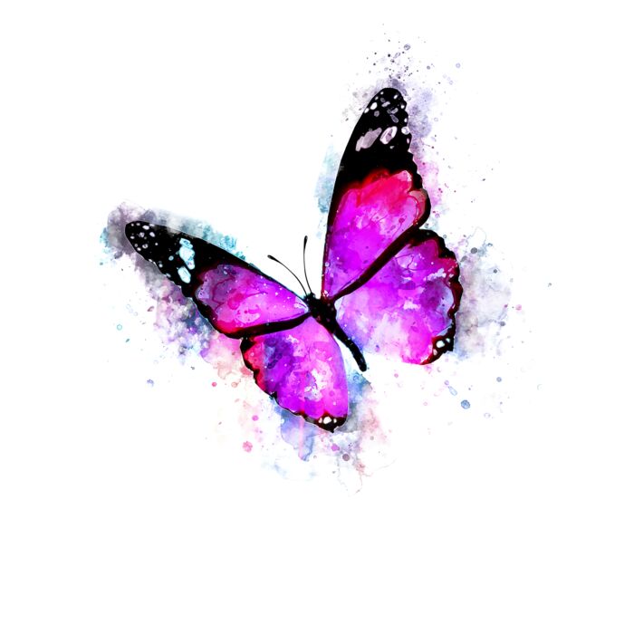 watercolor butterfly Thumbnail