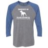 Unisex Triblend Three-Quarter Raglan T-Shirt Thumbnail