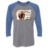 Unisex Triblend Three-Quarter Raglan T-Shirt Thumbnail